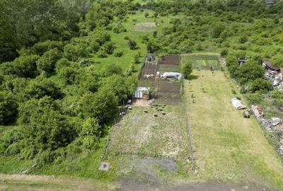 Teren intravilan in Gradi?te, 906 mp - 6