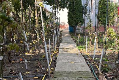 Casă individuală cu 3 camere cu Canalizare în Central - 19