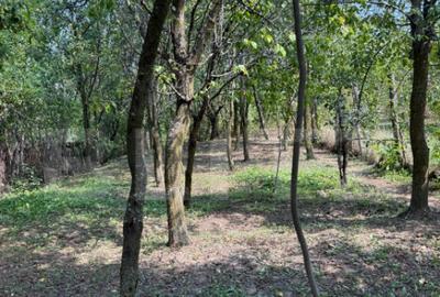 Casă cu 4 camere cu Teren 1053 Mp în Central - 8