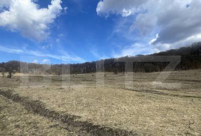 Teren extravilan de vanzare, 2,4 hectare, zona drumul Tarpiu - 5