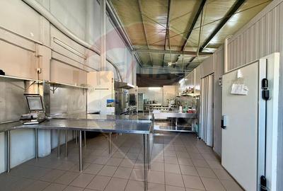 Oferta de inchiriat spa?iu industrial 110 mp, Bra?ov, ... - 11