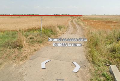 Teren agricol extravilan de 9968 mp, în Sânandrei - 4