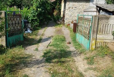 Casă cu 3 camere în Băneasa - 2