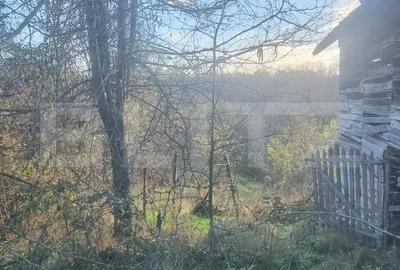 Teren 2.795 mp cu 500 mp intravilan in Valcane?ti, Prahova - 1