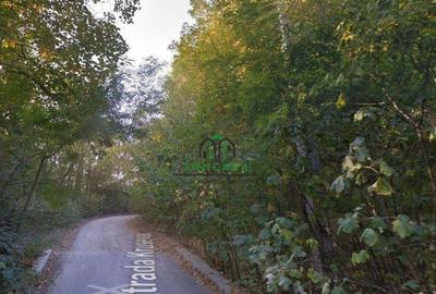 Teren Ramnicu Valcea / 28 Ha - 4