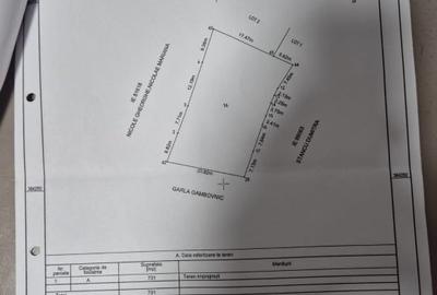 Teren Bradu (vis a vis de monument) - 2