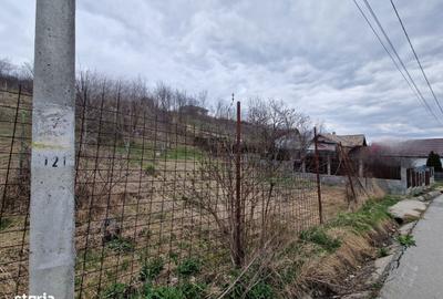 Teren de 584 mp, în Apahida - 6