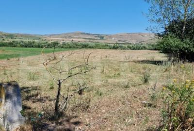 Teren de 5008 mp, în Iara - 2