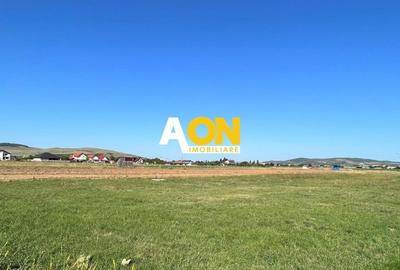 Teren Construcții intravilan de 450 mp, în Ampoi 3 - 1