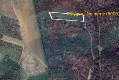 Teren de vanzare  5.000 mp langa Roca Bruna - 3