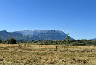 Teren Construcții intravilan de 1147 mp, în Sohodol - 23