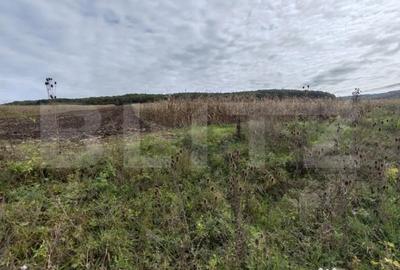 Teren de 2900 mp, în Central - 7