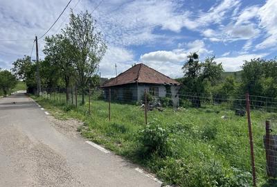 Teren de 1260 mp, în Agârbiciu - 1