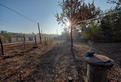 Teren 2900 m2, com. Salcuta, Jud. Dolj - 3