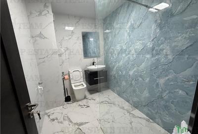 Vila premium cu destinatie mixta, comercial si rezidential - 18