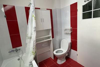 Apartament cu 2 camere decomandat în Turnișor - 5
