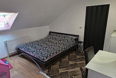 Apartament cu 2 camere în Paltin - 3