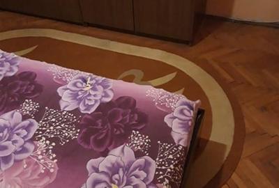 Apartament cu 2 camere semidecomandat, mobilat în Lipovei - 2