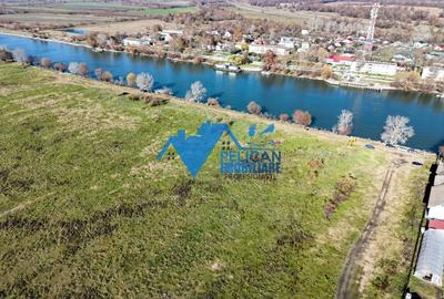 Teren intravilan VULTURU, 5.432 MP, front la Dunare 36 ML - 8