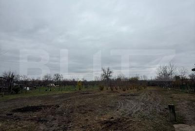 Casă cu 3 camere cu Teren 2745 Mp în Gura Ocniței - 7