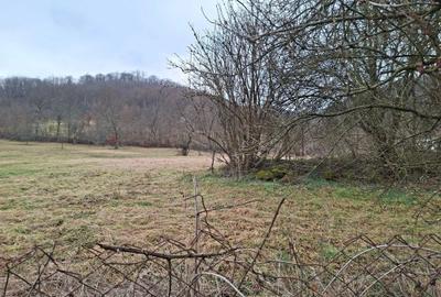 Teren de 3140 mp, în Petriș - 1