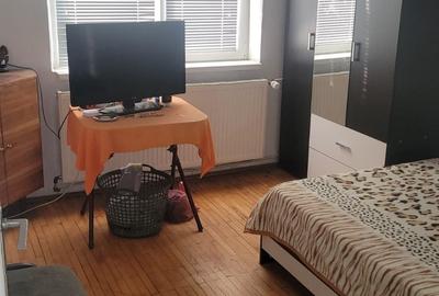 Colentina Teiul Doamnei - 6