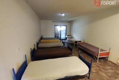 Casa de inchiriat pe 3 niveluri in Dumbravita, pretabila muncitori - 10