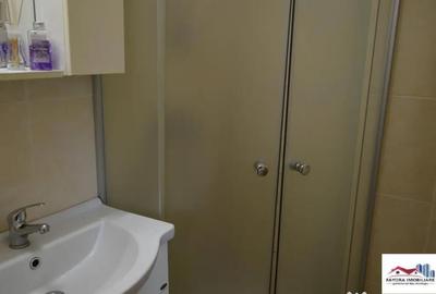 Garsonieră decomandată în Dâmbu Pietros - 9