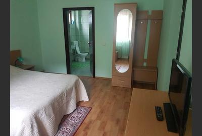 Holiday house/pension in Dâmbovicioara, Argeș - 4