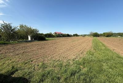 De vanzare 2 loturi de teren de 500mp in Ciorogarla, Str. Cartonari - 5