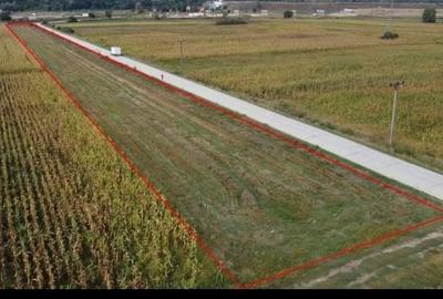 Teren de 7000 mp, în Băiculești - 6