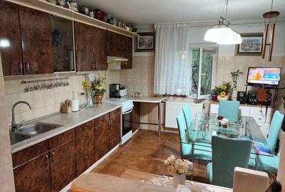 Apartament cu 3 camere parter inalt Zona Lidia-Drubeta. - 4