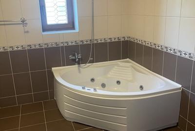 Vila individuala 7 camere de vanzare/inchiriere Iancu Nicolae - 19