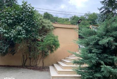 Casă cu 5 camere cu Teren 900 Mp în Dealul Malului - 1