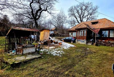 Teren Construcții de 3948 mp, în Provița de Sus - 11