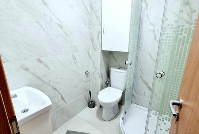 Mini-Garsoniera Nicolina-Frumoasa-Continental - 1