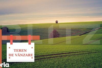 Teren de 125000 mp, în Bara - 1