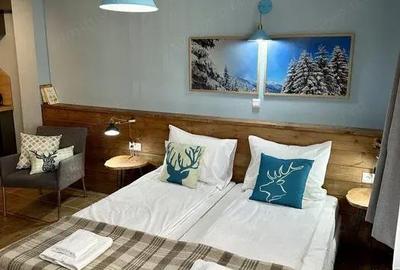 Garsonieră decomandată în Herăstrău - 1