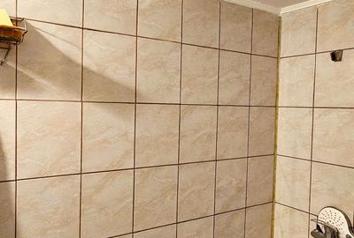 Apartament 1 camera, etaj2,mobilat si utilat, cartier Lenin - 9