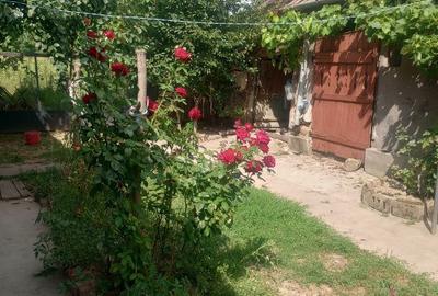 Casă cu 3 camere semidecomandat în Exterior Vest - 2