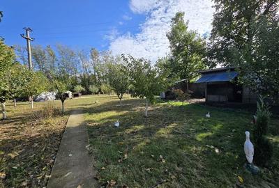 Casa individuala cu teren generos Jilava - Str Garii - 9