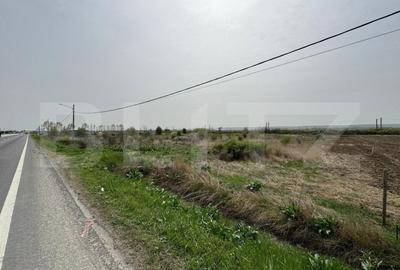 Teren Construcții intravilan de 10763 mp, în Vest - 2