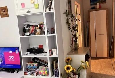 Apartament cu 2 camere decomandat, mobilat în Canta - 3