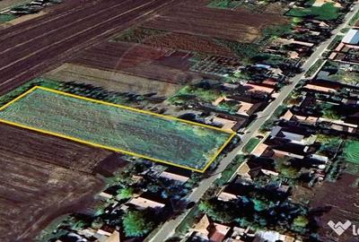 Teren de 5018 mp, în Variașu Mare - 3