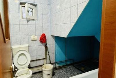 Casa - Frumusani - Pasarea - Calarasi Casa - Frumusani - Pasarea - Calarasi - 9