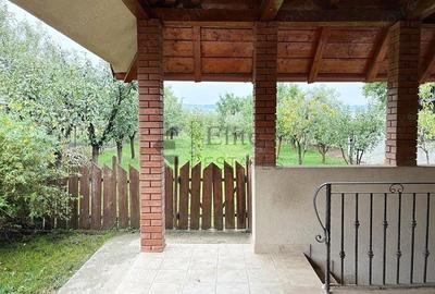 Casă cu Teren 1591 Mp în Betfia - 3