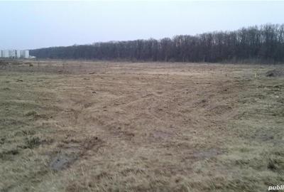 Teren de 1000 mp, în Băneasa - 3