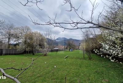 Teren de 4300 mp, în Baciu