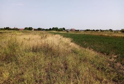 TEREN CONSTRUCTII-CORBEANCA-TAMASI-PRET IMBATABIL-LANGA PADURE-POZITIE BUNA - 4