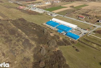 Teren de 7194 mp, în Carașova - 2